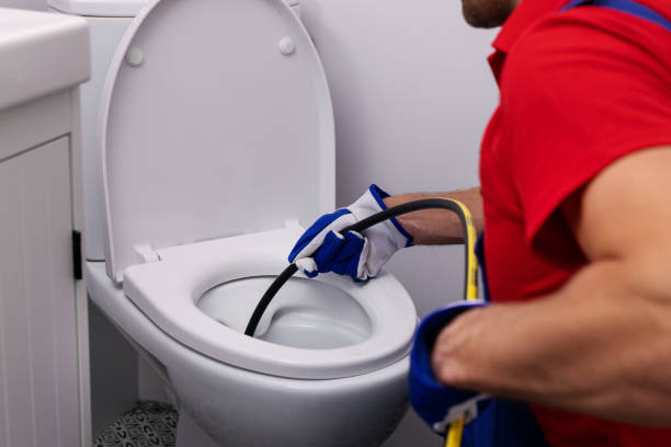 Best Emergency Plumber  in Truman, MN