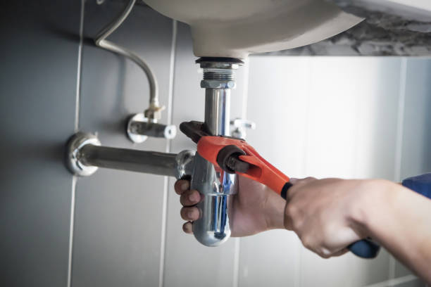 Best Shower Repair Services  in Truman, MN