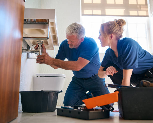 Best Gas Line Repair  in Truman, MN